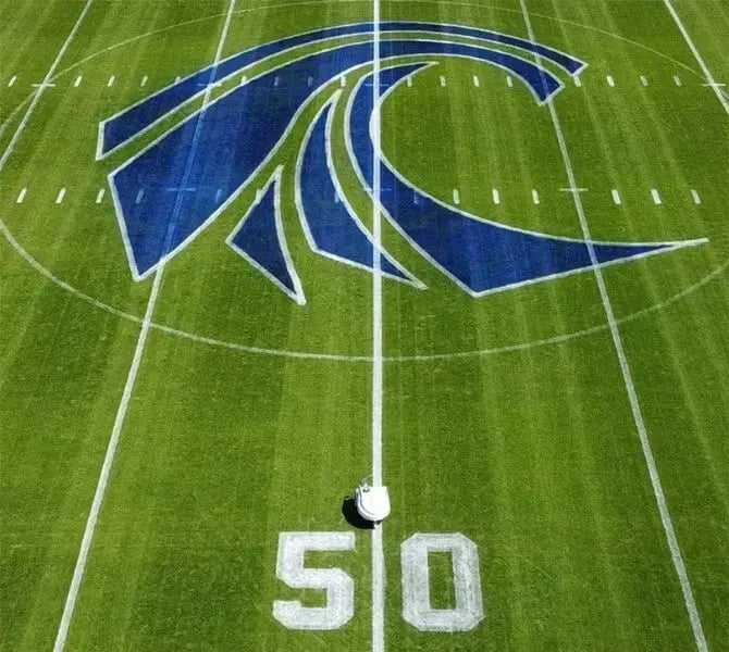 custom logo nfl tinylinemarker s-curve-1